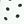 White Polka Dot