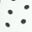 White Polka Dot