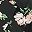 Black Floral