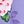 Light Purple Floral