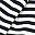 White Navy