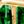 14k Gold Green