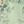 Pea Green