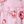 Pink Rose