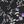 Black Purple