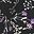Black Purple