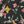 Black Yellow Pink