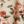 Beige Pink