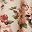 Beige Pink