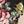 Black Pink Floral