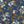 Blue Floral