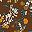 Brown Floral