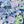 Navy Blue Floral