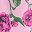Pink Purple Floral
