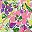 Purple Yellow Floral