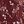 Wine Red Floral