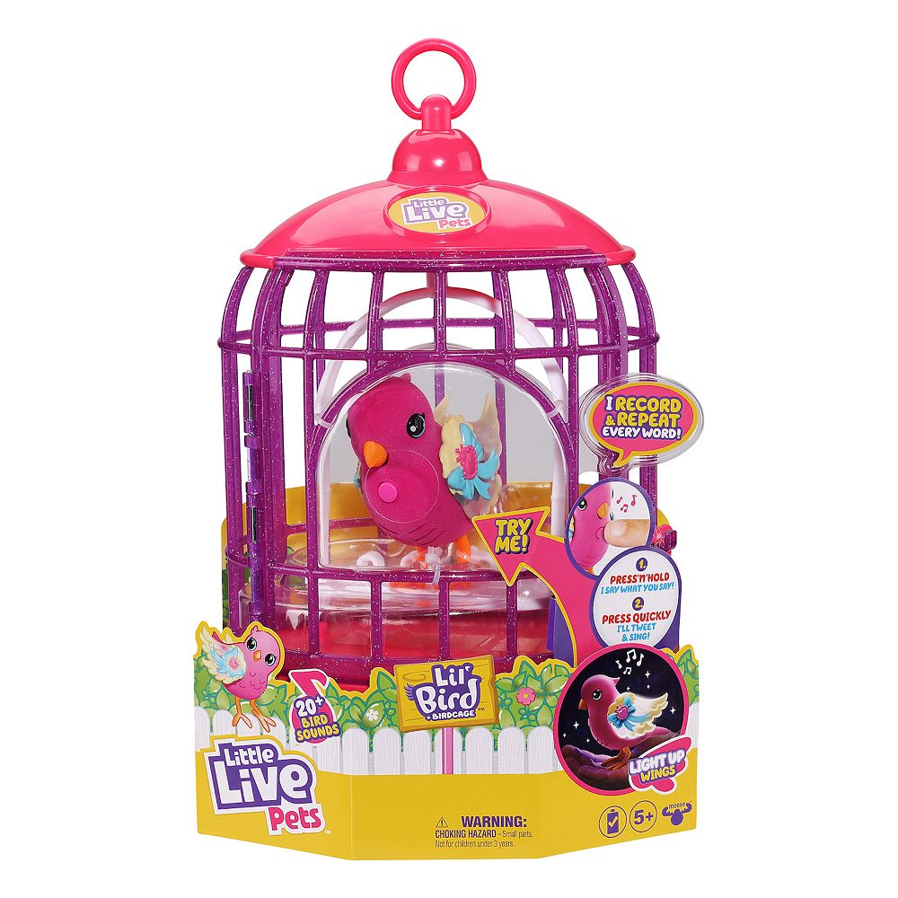My live pets bird hot sale