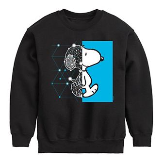 Boys 8-20 Peanuts Wire Frame Fleece Sweatshirt