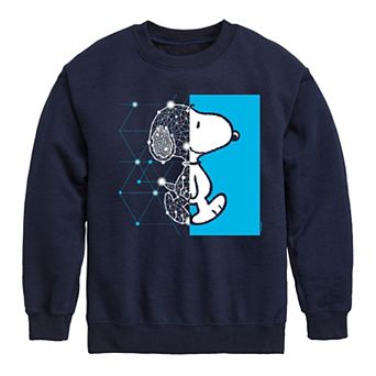 Boys 8-20 Peanuts Wire Frame Fleece Sweatshirt