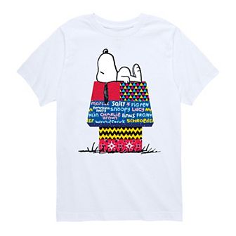 Boys 8-20 Peanuts Patchwork Doghouse Graphic Tee