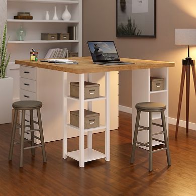 Winsome Wood Shelby Counter Stools 2-piece Set