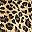 Brown Cheetah Print