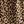 Tan Natural Leopard