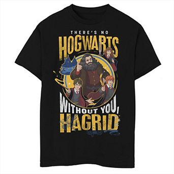 Boys 6-20 Harry Potter Hagrid And Friends Graphic Tee