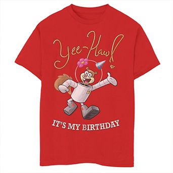 Boys 8-20 SpongeBob Sandy It's My Birthday Tee