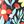 Black Colorful Flowers