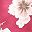 Red White Flowers
