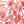 White Pink Floral