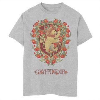 Boys 8-20 Harry Potter Gryffindor Watercolor Tee