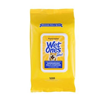 Wet Ones® Deodorizing Wipe for Dogs - 100 ct