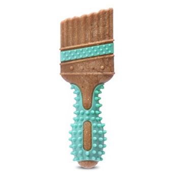 Arm & Hammer 7.5" Wood Mix Paintbrush Dog Toy