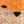 Foxes