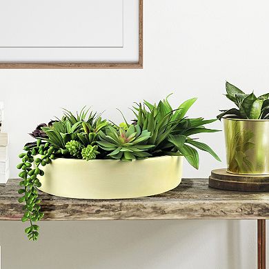 Sonoma Goods For Life Deluxe Artificial Succulent Garden Table Decor