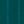 Brazilian Teal