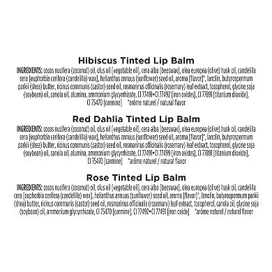 Burt's Bees Mini Tinted 3-pc. Lip Balms Holiday Gift Set - Rose, Red Dahlia and Hibiscus