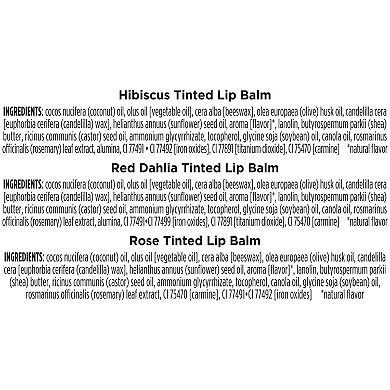 Burt's Bees Mini Tinted 3-pc. Lip Balms Holiday Gift Set - Rose, Red Dahlia and Hibiscus