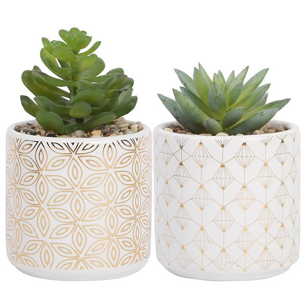 Home Essentials Artificial Succulent Plant Table Decor 2piece Set