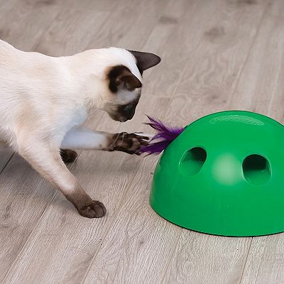 Pet Knows Best Pop N Play Cat Toy