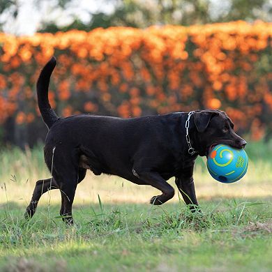 Pet Knows Best Wobble Wag Giggle Treat Ball Dog Toy