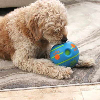 Wobble wag giggle dog toy hotsell