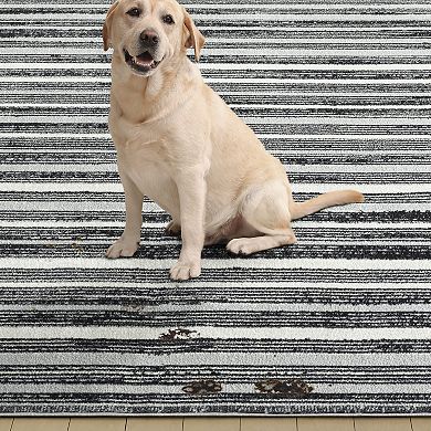 Everwash Treasure Striped Modern Area Rug
