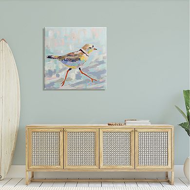 Stupell Home Decor Coastal Plover Abstract Bird Canvas