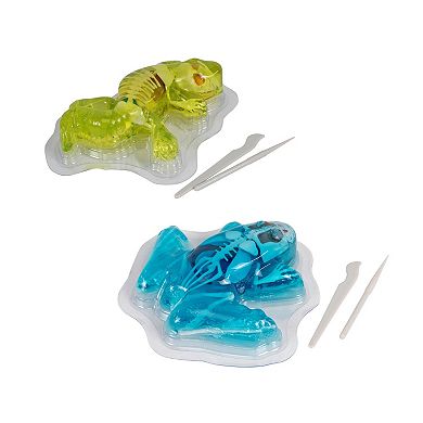 RMS Unbelievable Science Squishy Anatomy Slimy Newt & Poison Dart Frog Kit