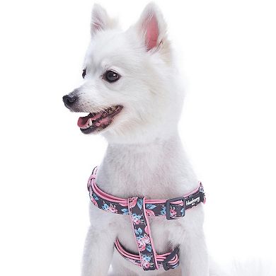 Blueberry Pet Classic Nylon Step-in Dog Harness