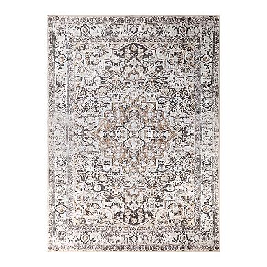 Superior Geometric Floral Medallion Indoor Area Rug