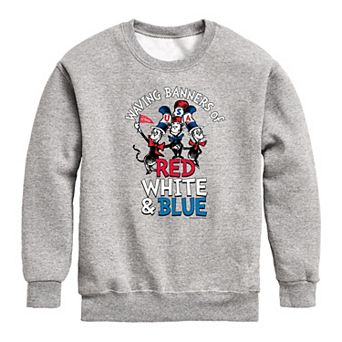 Boys 8-20 Dr. Seuss Waving Banners Fleece Graphic Pullover